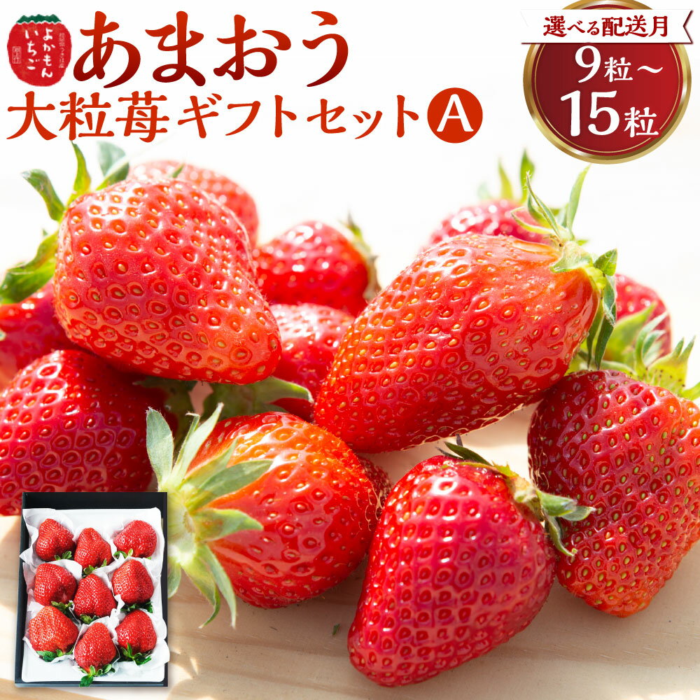 【ふるさと納税】 よかもんいちご あまおう大粒苺のギフトセットA 【2026年2月から2026年4月出荷予定】 フルーツ 果物 果実 送料無料 福岡県 うきは市