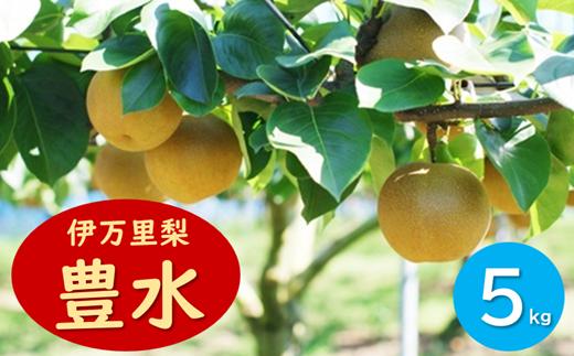 
            稗田さんが育てた伊万里梨「豊水」5㎏
          