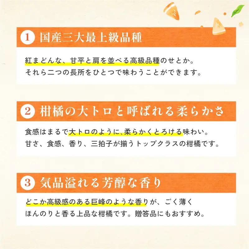 【先行予約】【数量限定】ホリ田ヤ せとか 2.5kg