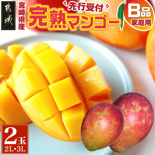 【先行受付!】宮崎県産完熟マンゴー(B品)【2L×1玉、3L×1玉】≪2026年5月中旬以降順次お届け≫_21-0101
