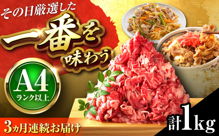 【全3回定期便】【A4～A5】博多和牛 切り落とし 1kg(500g×2P) 吉富町/株式会社MEAT PLUS [BGAB101] 牛肉 切り落とし 国産 福岡県