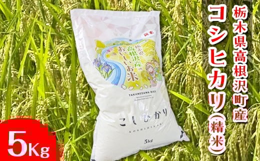 
            栃木県高根沢町産コシヒカリ（精米）5kg ※北海道・沖縄・離島への配送不可
          