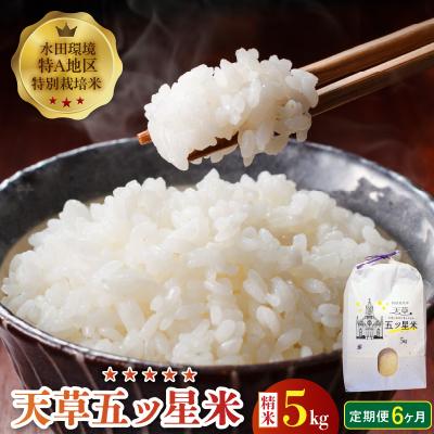 ふるさと納税 天草市 【6ヶ月定期便】【先行受付】天草五ッ星米 精米 5kg_S061-T06A