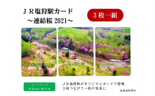 【ふるさと納税】JR塩狩駅カード～連結桜2021～