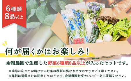 北海道産季節の野菜詰め合わせ 6種類8品【310005】