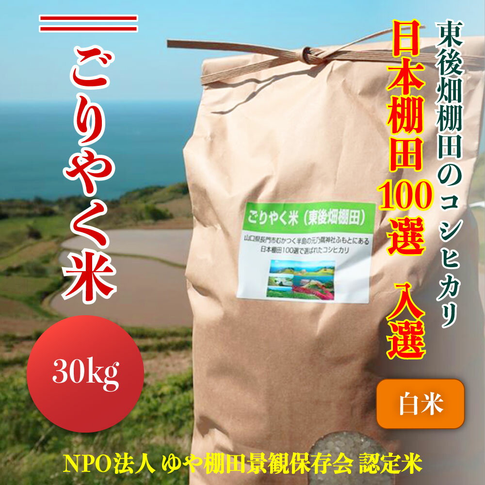 【ふるさと納税】 【予約受付】令和7年度産 ごりやく米 東後畑棚田こしひかり白米 玄米 無洗米 1ぶづき米 30kg 棚田米 長門市 コシヒカリ こしひかり 発送9月下旬から [1538]