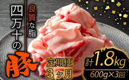 【定期便3回】高知県産 ブランドポーク 豚肉 切り落とし 計1.8kg（600g×3ヶ月連続お届け) Yコース | 肉 豚肉 国産豚肉 高知県産豚肉 豚肉 大容量 豚肉 しゃぶしゃぶ 豚肉 バラ肉 小分け 小間切れ スライス 切り落とし 冷凍 真空パック 簡単調理 細切れ 大容量 肉 高知県 須崎市 TM27000