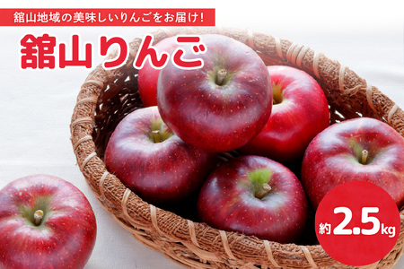 【先行予約】 令和8年産 舘山りんご 品種おまかせ 約2.5kg 9玉 ～ 11玉