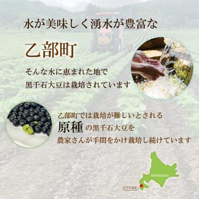 ふるさと納税 乙部町 <マダムのすづけ 黒千石大豆 1本> |  | 03