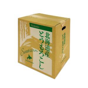 【先行予約】旭川近郊産　黄色いとうもろこし(ゴールドラッシュ) 3.5kg(10本) 2026年8月上旬から発送開始 | とうもろこし 北海道 限定_04842