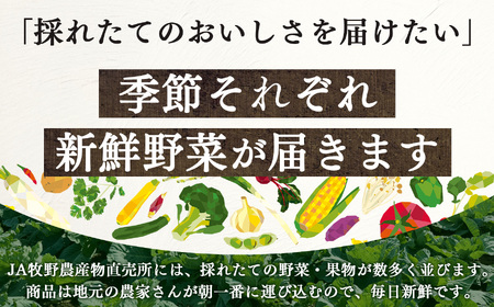 季節の野菜セットB | 詰め合わせ 果物 新鮮 お試し おすすめ 冬 春 夏 秋 国産 奈良県 五條市