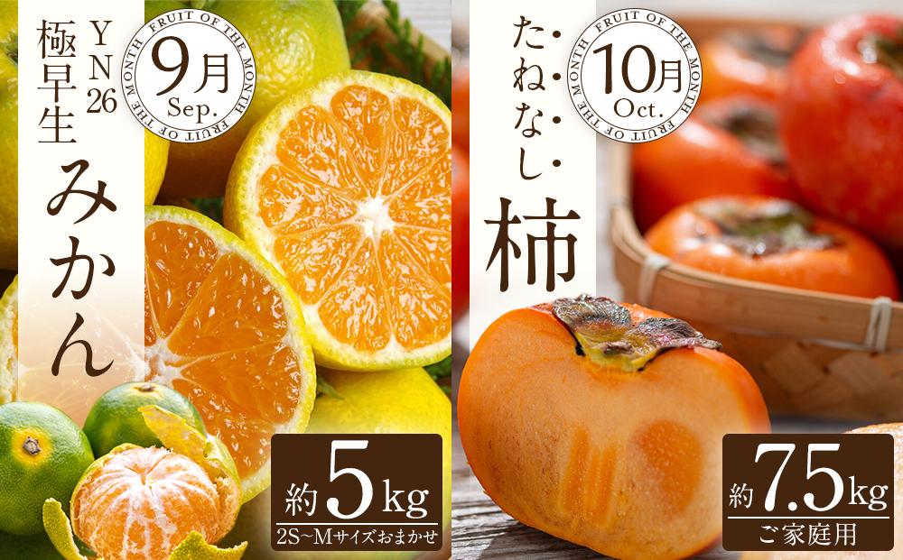 【定期便全6回】夏・秋の新鮮フルーツ定期便 ［TM203］