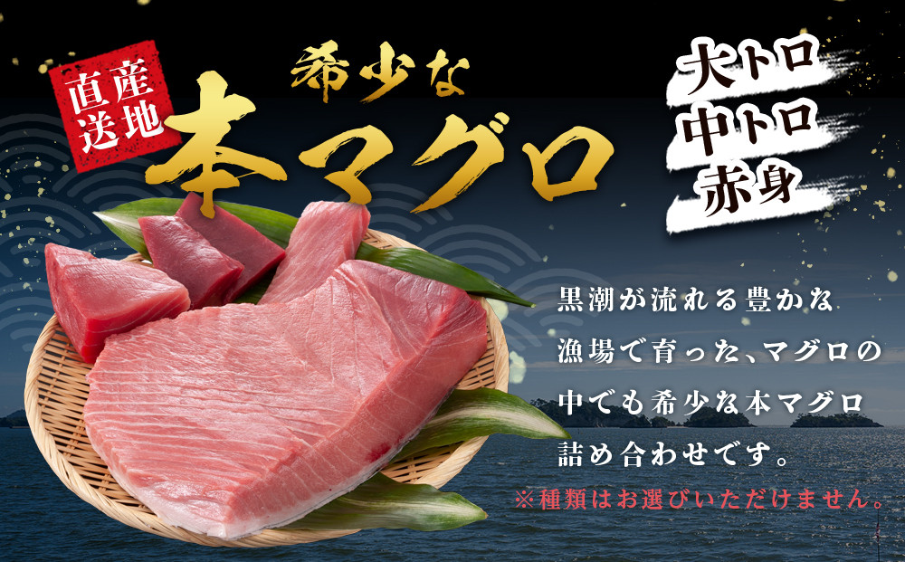 本場南紀から産地直送！ 本マグロ トロ+赤身セット 1kg | 【年末年始お届け可能】大トロ 中トロ 鮪 刺身 寿司 海のダイヤ クロマグロ 人気
