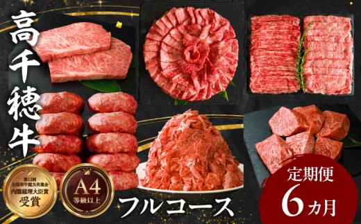 宮崎県産黒毛和牛A4等級以上 高千穂牛フルコース（6ヶ月定期便）| 牛肉 肉 お肉 精肉 定期便 サーロイン ステーキ 焼肉 BBQ ロース カルビ こま肉 小間切れ モモ ハンバーグ しゃぶしゃぶ すき焼き すきしゃぶ 薄切り スライス 国産 セット 詰め合わせ パーティー アウトドア キャンプ グランピング お祝い ギフト プレゼント  |_Tk002-t054