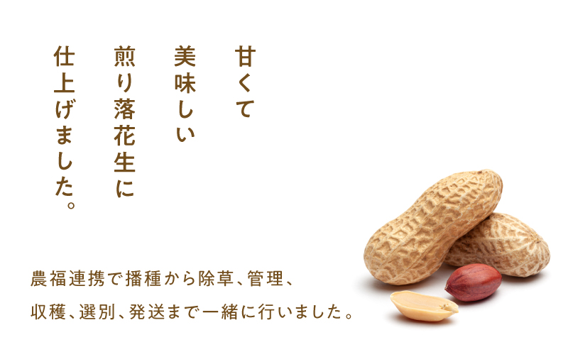 2809 から付き煎り落花生 600g（150g×4袋）　KN070-002-01
