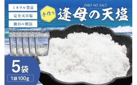 手作り天然塩　【逢母の天塩】100ｇ×5パック