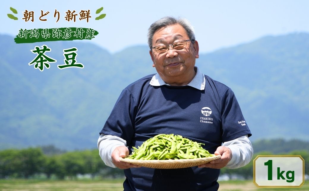 【先行予約】 朝どり新鮮 新潟 枝豆 えだまめ 茶豆 1kg | 特産品 野菜 おつまみ 晩酌 濃厚な甘さ お取り寄せ おすすめ プレゼント ギフト 贈答 贈り物 1キロ 新潟県 弥彦村 農事組合法人