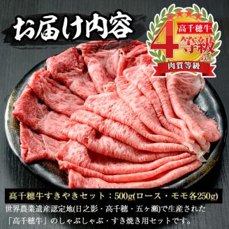 高千穂牛 すき焼きセット(ロース・モモ各250g)国産 宮崎県産 宮崎牛 牛肉 焼肉 ロース モモ 霜降り A4 和牛 ブランド牛【MT011】【JAみやざき 高千穂牛ミートセンター】