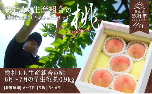 「6月～7月の早生（わせ）桃」約0.9kg　岡山県総社もも生産組合【2025年産先行予約】25-013-001