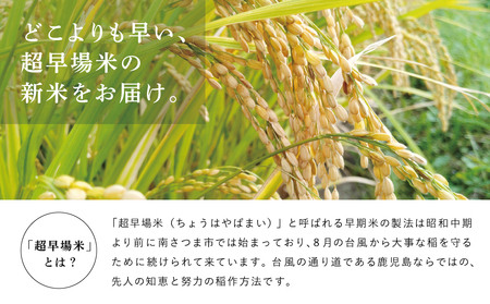 【定期便 全5回】金峰コシヒカリ 5kg×5ヶ月 お米定期便 コシヒカリ 特別栽培農産物 コメ おこめ 5キロ こしひかり 米 鹿児島県産 令和5年産 南さつま市