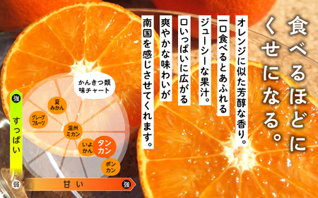 《 先行予約 》【2024年2月中旬～3月中旬頃順次発送】種子島産タンカン(ご家庭用)約2.5kg（12～18玉）【南種子町果樹部会】