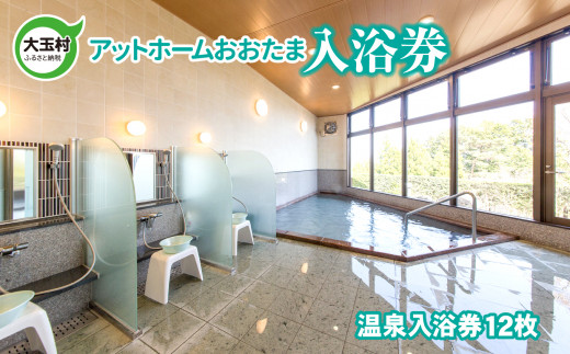 アットホームおおたま 入浴券 12枚【10028】 天然温泉 温泉 入浴 チケット 癒やし 福島県 大玉村