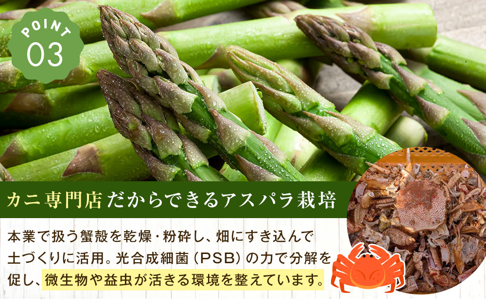 【先行予約】朝採りアスパラ Lサイズ 2kg（500g×4）鮮度保持パック入り 旭川近郊産 露地物(2024年5月中旬発送開始予定)_01591