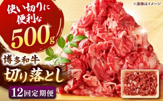 【全12回定期便】博多和牛切り落とし500g ▼切り落とし 切落し 切り落とし肉 国産 定期便   桂川町/株式会社 MEAT PLUS [ADAQ125]