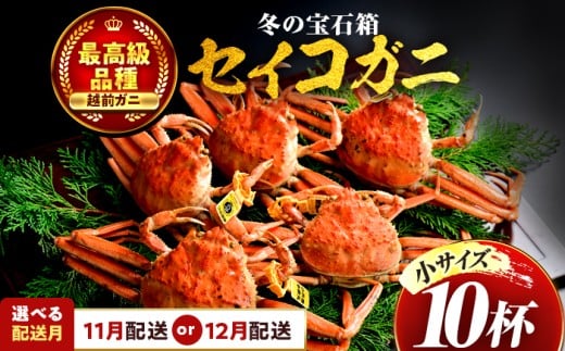 【先行予約】 【12月配送】 セイコガニ（ズワイガニのメス） 小サイズ 10杯  小浜市 / まるほ商店 【配送不可地域：北海道・沖縄・離島】[BFCS016-12]