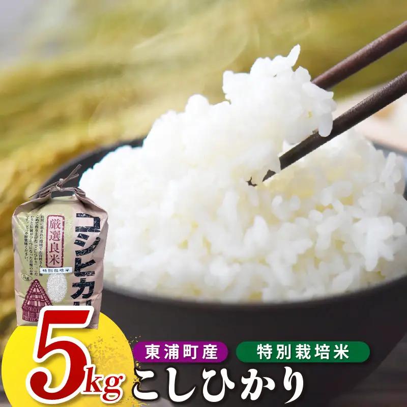 【令和8年度産】東浦町産　こしひかり　約5kg