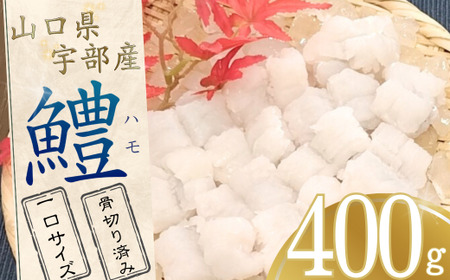 【宇部産】鱧 ハモ 400g【一口サイズ】 ハモ ハモ