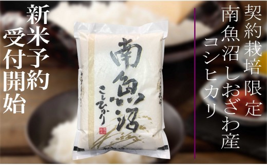 
                  【令和8年産　新米予約】定期便12ヶ月：精米10Kg 契約栽培限定 南魚沼しおざわ産コシヒカリ【定期便 銘柄米 ブランド米 精米 こしひかり コシヒカリ 魚沼産 新潟米 ごはん】【2026年10月上旬から1ヶ月以内に順次発送予定】
                