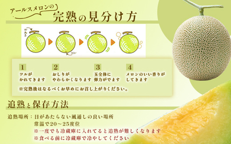 015茨城県JA水戸産アールスメロン【秀品】約8kg（3~5玉）【2024年8月上旬頃より順次発送予定】