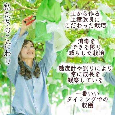 ふるさと納税 長野市 【信州長野県産】※2025年先行受付※　くるみ(殻付き)1kg　10月下旬より発送開始 |  | 02