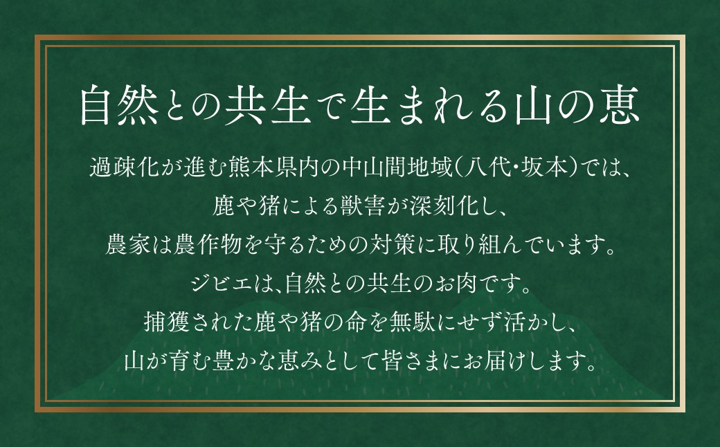 ジビエは自然との共生のお肉です。山が育む豊かな恵みとして皆さまにお届けします。