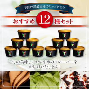 パティシエ　セレクション　ジェラート12個セット