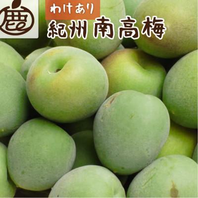ふるさと納税 上富田町 家庭用 紀州南高梅(青梅)2kg+250g(傷み補償分)【梅干し・梅酒・梅ジュースに】【訳あり】