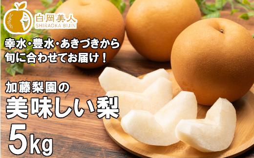【2026年発送分 先行予約】加藤梨園の美味しい梨　約5kg　幸水・豊水・あきづき　【11246-0354】