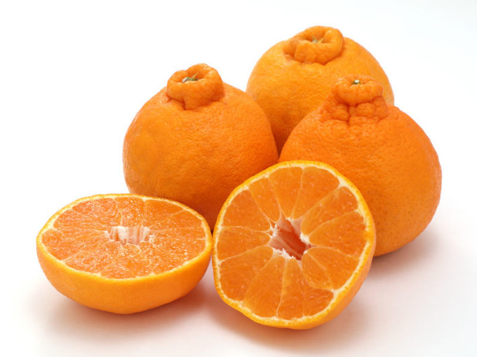 家庭用 森本農園の手選別 不知火 約8kg 和歌山県産  サイズ混合［北海道・沖縄・離島配送不可］［RN137］ 303446_DJ90137