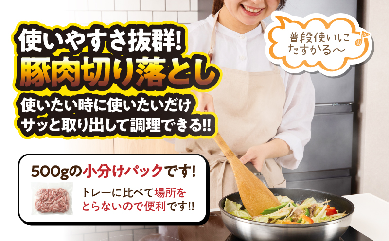 ＜訳あり＞鹿児島県産豚肉切り落とし 2kg（500g×4パック）　KN179-001-02