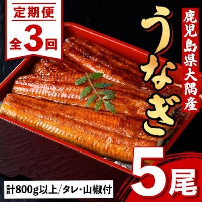 ふるさと納税 肝付町 <定期便・計3回(連続)>うなぎ蒲焼・大(有頭)(5尾計800g以上3回タレ山椒付)　E57005