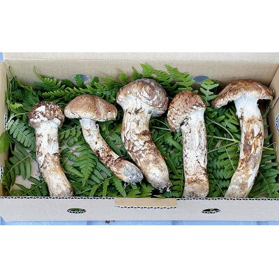 【ふるさと納税】数量限定【訳あり】岩手県たのはた産　天然松茸 200g【配送不可地域：離島・沖縄県・九州】【1512868】