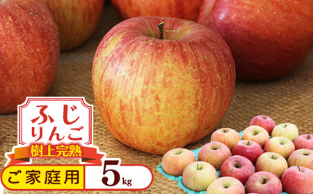 《訳あり》ご家庭用 ふじりんご 5kg 山形県産 2025年産 令和7年産 【2025年12月頃より順次発送予定】（フードロス対応・食品ロス・規格外・SDGs・生産者支援）　010-B-NG009