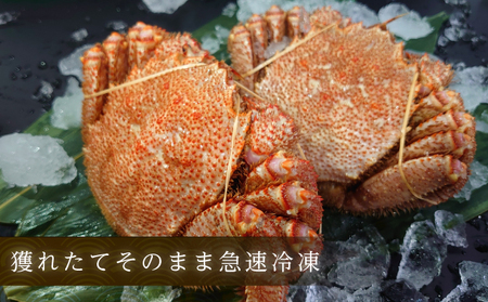 訳あり 3D冷凍 ボイル毛がに 650g前後×1尾 北海道産 毛蟹 毛ガニ