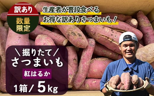 
            【訳アリ】【数量限定】【2025年9月順次発送】2025年収穫 鹿児島県産 さつまいも掘りたて 紅はるか 5kg (1箱 )  | サツマイモ 掘りたて 焼き芋 べにはるか おやつ 煮物 芋ごはん 味噌汁 堀りたて 鹿児島県 南大隅町 株式会社フォレスト AX72207
          