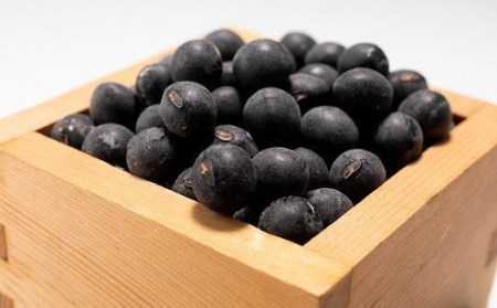丹波黒大豆 Lサイズ 600g （300g×2袋） 黒豆