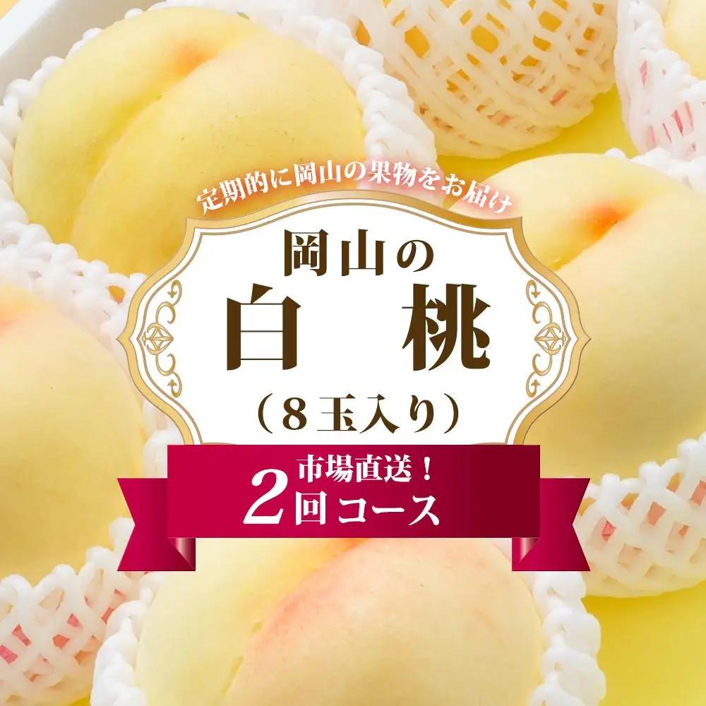桃 定期便 2027年 岡山 の 白桃 8玉 合計1.7kg以上×2回 お届け 化粧箱入り もも モモ 岡山産 国産 フルーツ 果物 ギフト