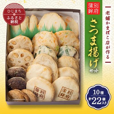 ふるさと納税 日出町 老舗蒲鉾店のさつま揚げ(天ぷら) ぜいたくセット 10種/22個入り