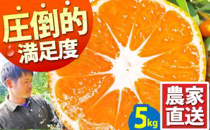 
            みかん【2025年10月下旬〜発送】温州みかん 5kg / みかん ミカン 蜜柑 フルーツ 果物 みかん くだもの 柑橘 旬 果実 甘味 酸味 産地直送 みかん 農家直送 数量限定 国産 先行予約 ご家庭用 蜜柑 ご当地 お返し 贈り物 人気 贈答用 家庭用 土産 手土産  / 南島原市 / 蜜柑屋まつお [SCQ001]
          