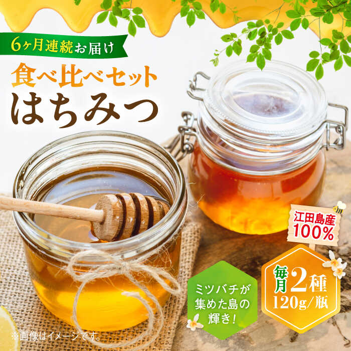 【ふるさと納税】【全6回定期便】江田島産100％ はちみつ 2種 食べ比べ セット（120g×3本）はちみつ ハチミツ 蜂蜜 ジャム ハニー 非加熱 純粋はちみつ パン 国産 常温 備蓄 保存食 非常食 セット 小分け ギフト 広島県 人気 送料無料 江田島市/はつはな果蜂園 [XCD028]
